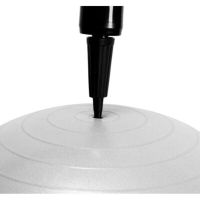 Bola Gym Ball Com Bomba (55cm) | Prata - ACTE