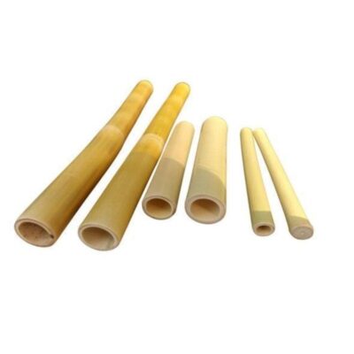 Kit Bambu Polido Victoria com 6 Unidades