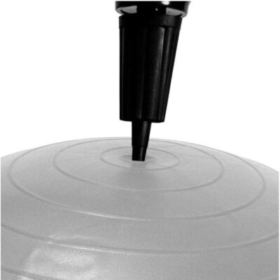 Bola Gym Ball Com Bomba (65cm) | Cinza - ACTE